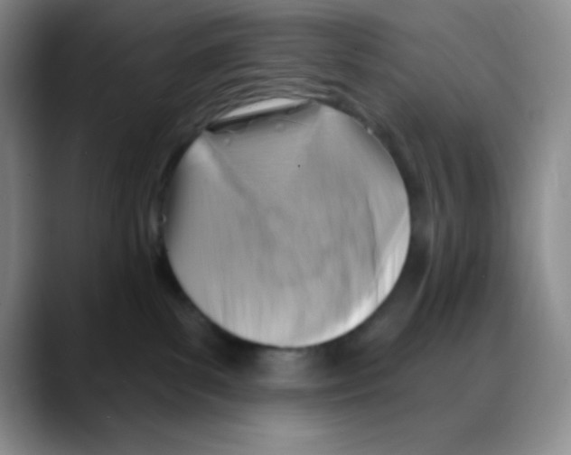 X0000088080139200706081737