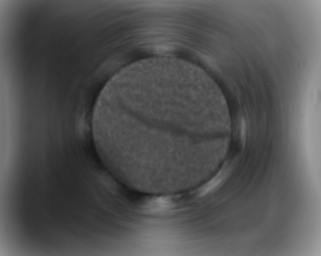 X0000088080140200706081737