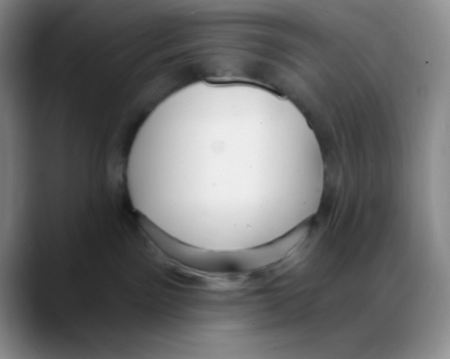 X0000088080141200706081737