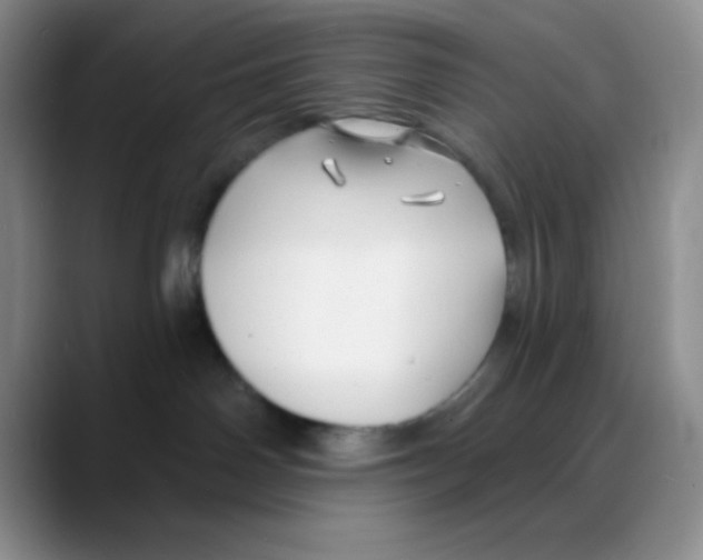 X0000088080142200706081737