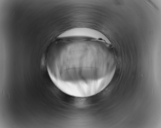 X0000088080143200706081737