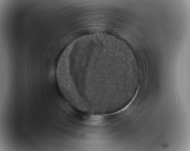 X0000088080144200706081737