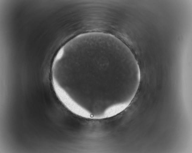 X0000088080146200706081736