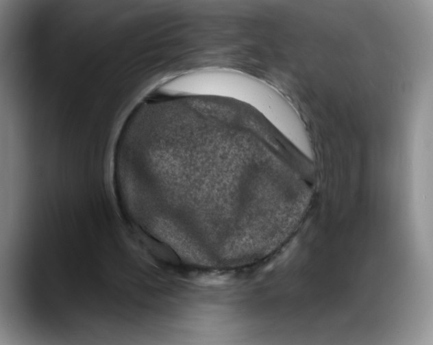 X0000088080148200706081736