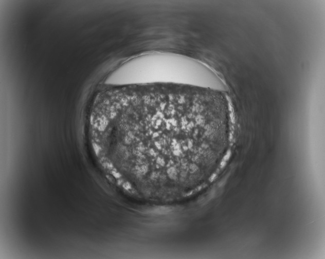 X0000088080149200706081736