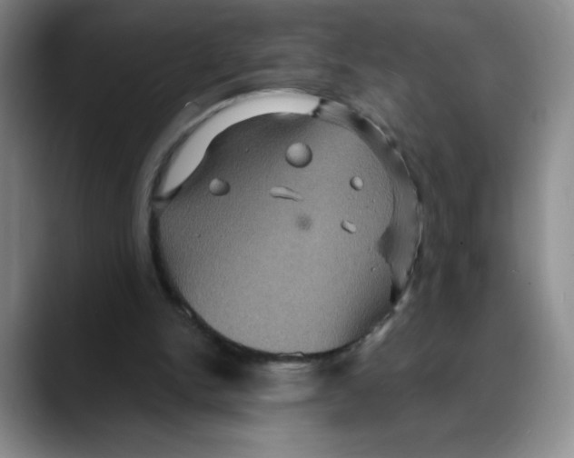 X0000088080150200706081736