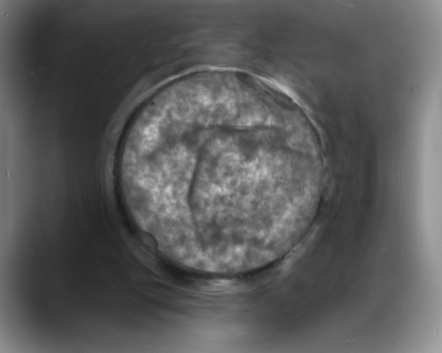 X0000088080151200706081736