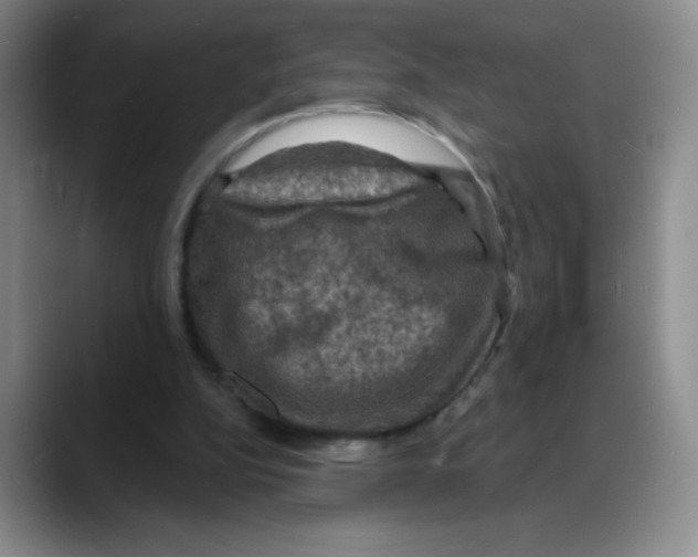 X0000088080152200706081736