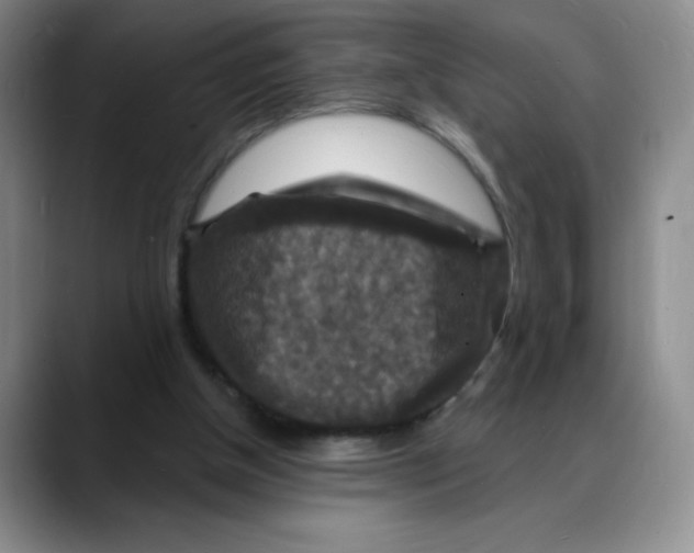 X0000088080154200706081736