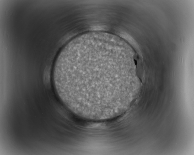 X0000088080155200706081736