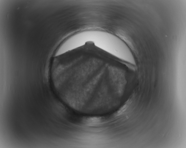 X0000088080156200706081736