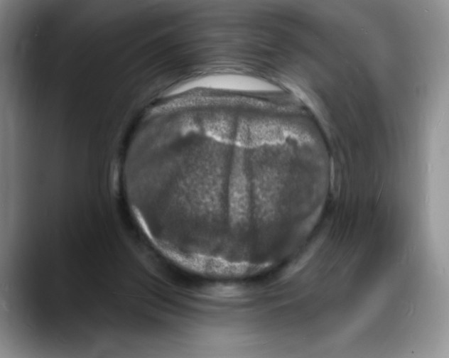 X0000088080157200706081736