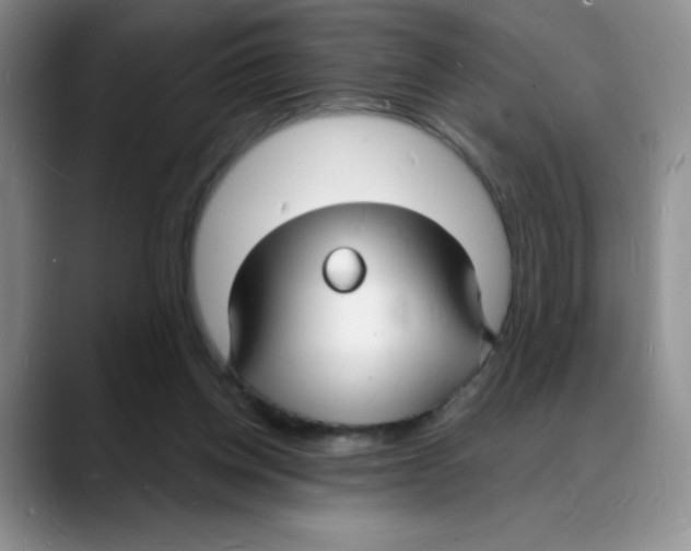 X0000088080158200706081736