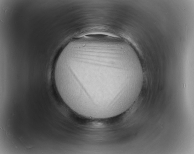 X0000088080159200706081736