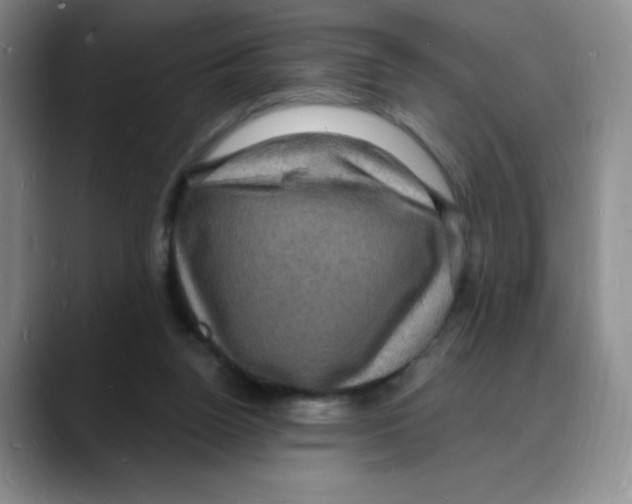 X0000088080160200706081736