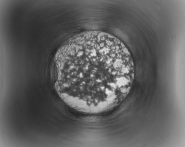 X0000088080161200706081736