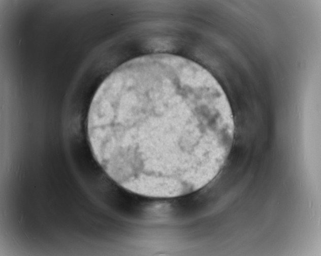 X0000088080162200706081736