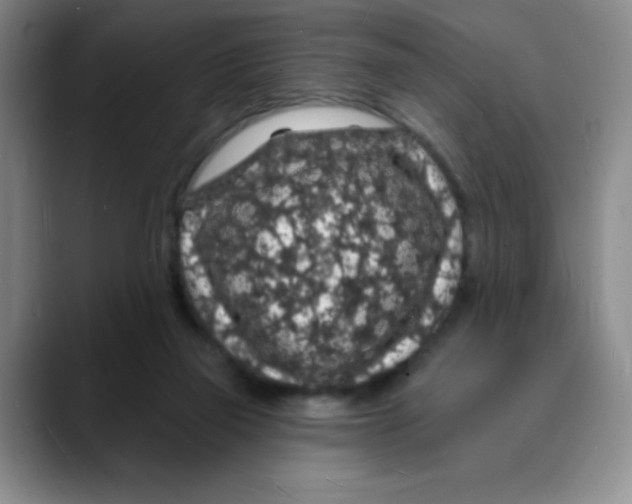 X0000088080165200706081737