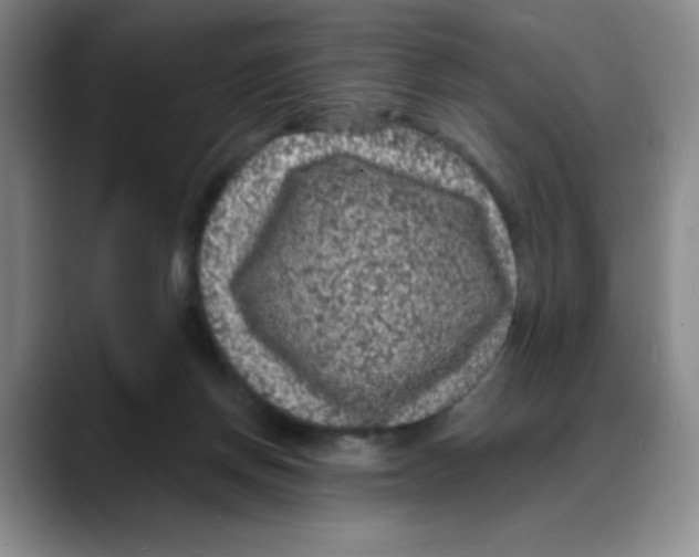 X0000088080166200706081737