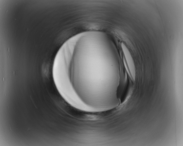 X0000088080167200706081737