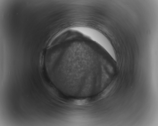 X0000088080168200706081737