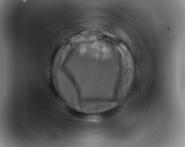 X0000088080169200706081737