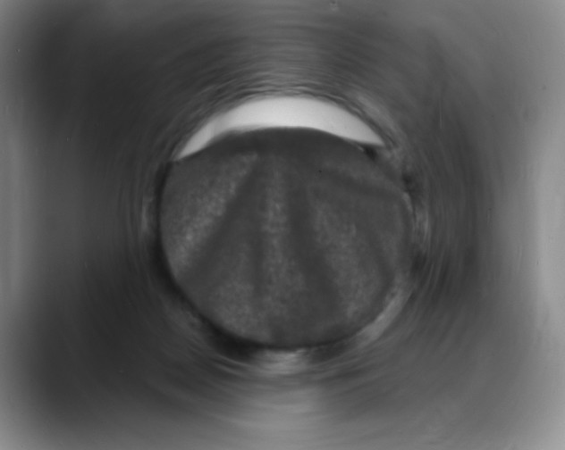 X0000088080170200706081737