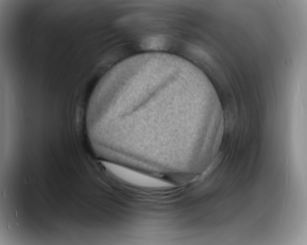 X0000088080171200706081737