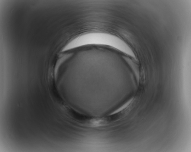 X0000088080172200706081737