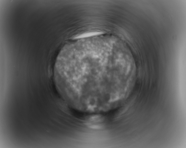 X0000088080173200706081737