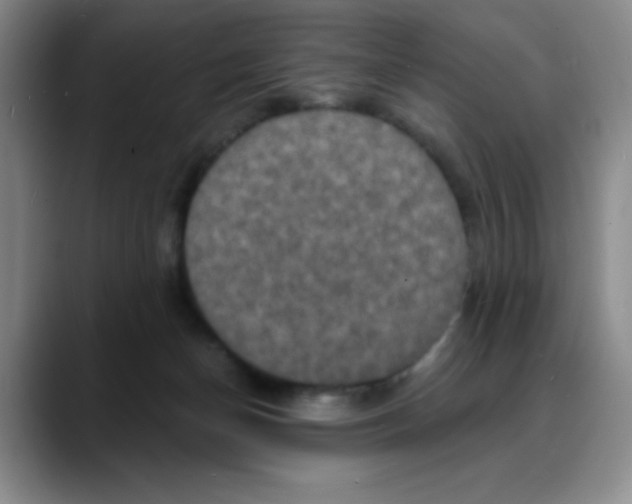 X0000088080174200706081737