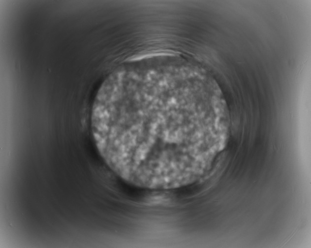 X0000088080175200706081737