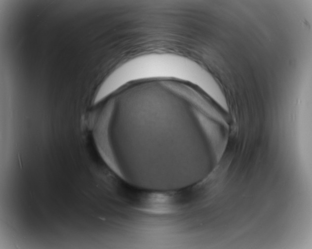 X0000088080176200706081737