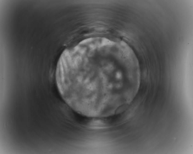 X0000088080177200706081737