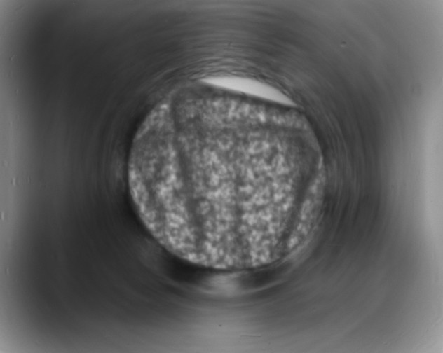 X0000088080178200706081737