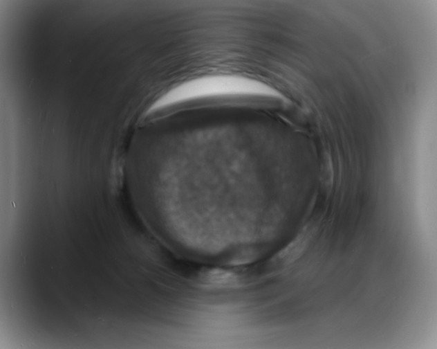 X0000088080180200706081737