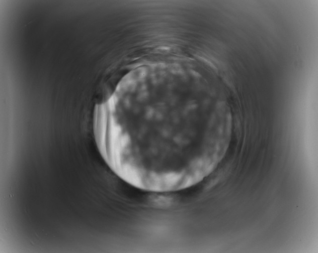 X0000088080181200706081737