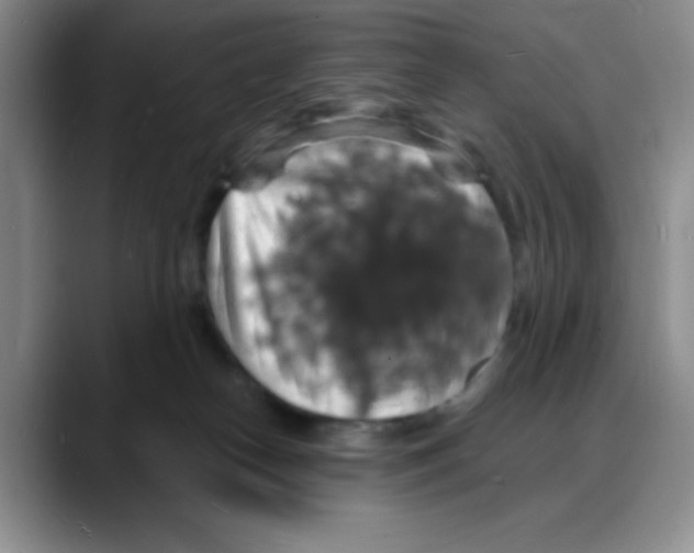 X0000088080182200706081737