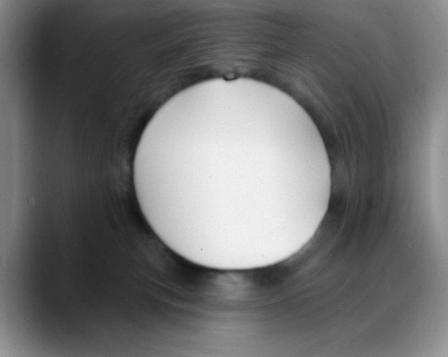 X0000088080183200706081737