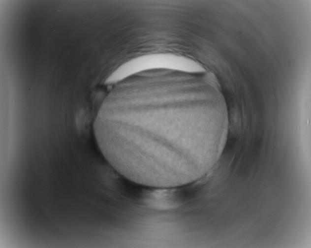 X0000088080184200706081737