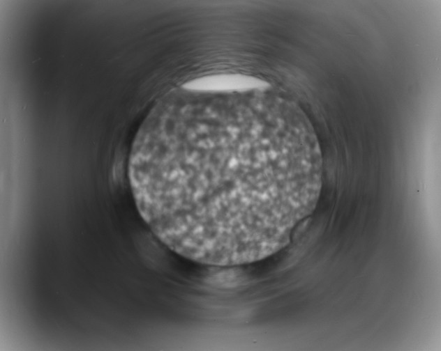 X0000088080185200706081737