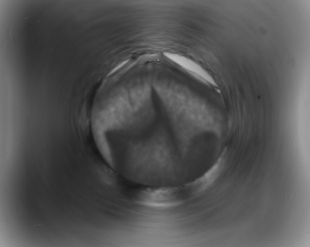 X0000088080186200706081737