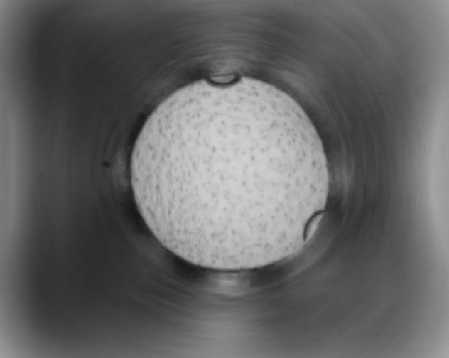 X0000088080187200706081737