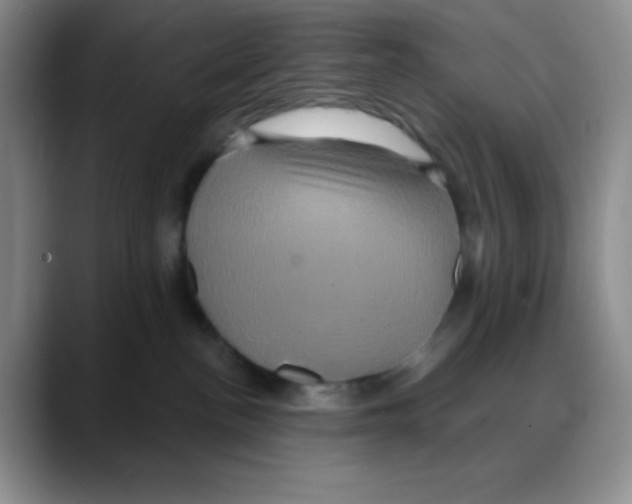 X0000088080188200706081737