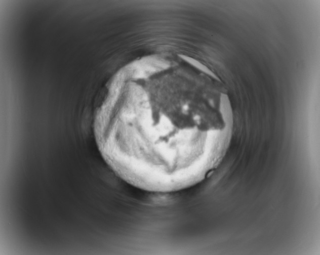 X0000088080189200706081737