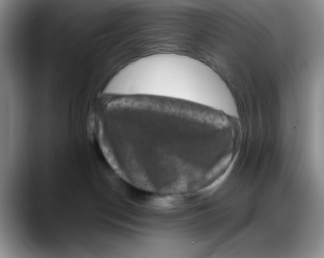 X0000088080190200706081737