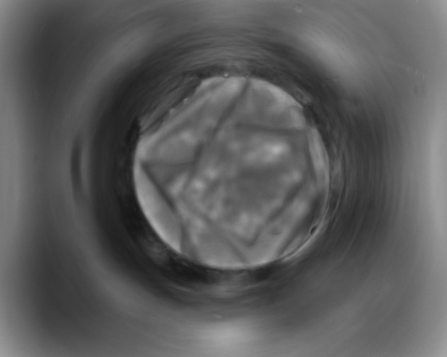 X0000088080191200706081737