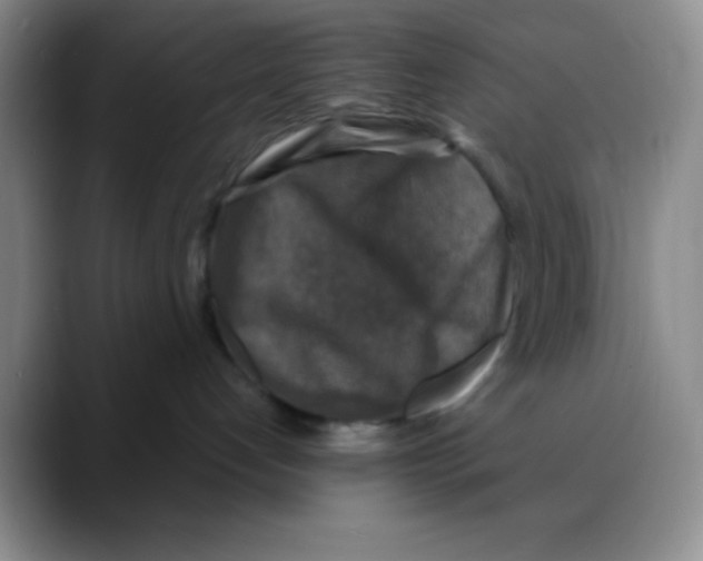 X0000088080192200706081737