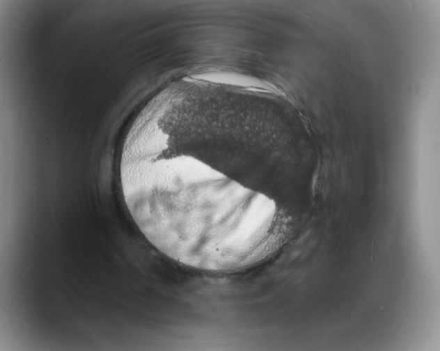 X0000088080194200706081736