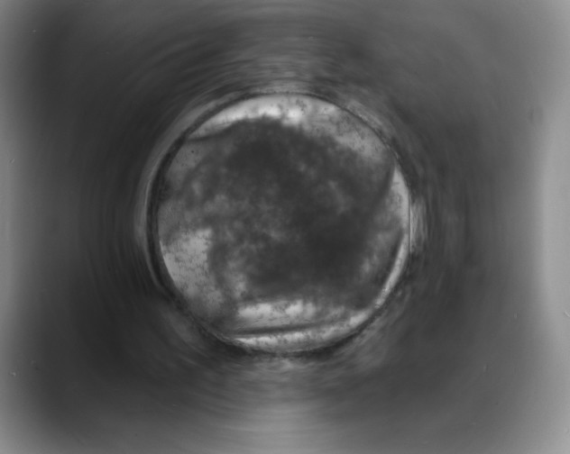 X0000088080195200706081736